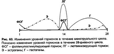 Пероральные контрацептивные средства (противозачаточные средства для назначения внутрь) - student2.ru