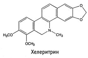 Сем. маковые - Papaveraceae. Ботаническая характеристика - student2.ru