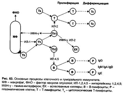 Средства, ингибирующие экспрессию или действие интерлейкина-2 - student2.ru