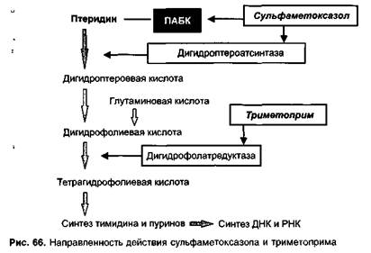 Средства, нарушающие синтез РНК - student2.ru