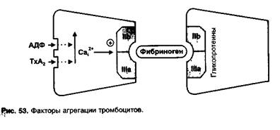 Средства, влияющие на агрегацию тромбоцитов - student2.ru