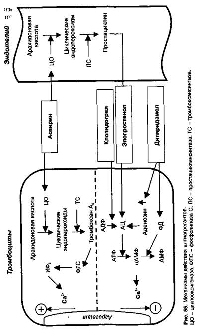 Средства, влияющие на агрегацию тромбоцитов - student2.ru