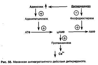 Средства, влияющие на агрегацию тромбоцитов - student2.ru