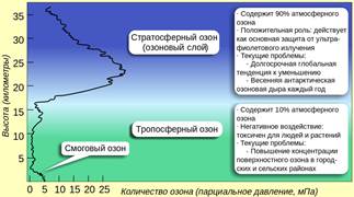 Строение и размножение растений (2/2) - student2.ru