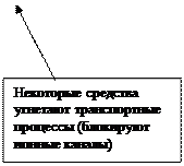 Выделение лекарственных веществ из организма (экскреция) - student2.ru