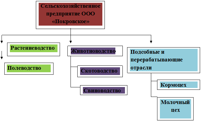 Глава 1. Состав, значение, порядок составления и представления бухгалтерской (финансовой) отчётности - student2.ru