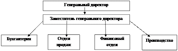 Характеристика предприятия. Аудит расчетов с поставщиками на примере ООО «Детская компания» Направление - student2.ru