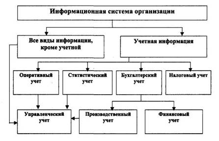 Учетная система организации и ее роль в информационном обеспечении процессов управления - student2.ru