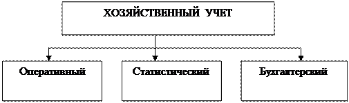 Виды учета и их характеристика - student2.ru