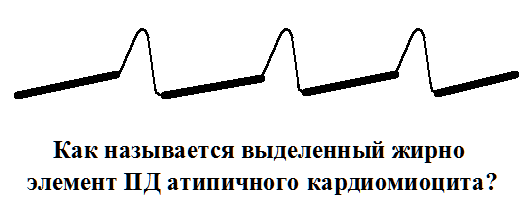 Где расположен сино-атриальный узел? - student2.ru