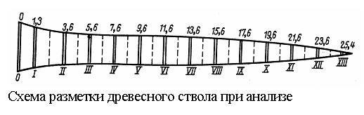 Анализом роста древесного ствола называются специальные исследования, ставящие своей задачей изучить динамику роста дерева или изменение с возрастом его размеров. - student2.ru