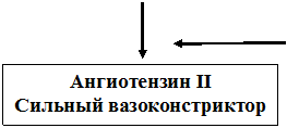 локализация действия антигипертензивных средств - student2.ru