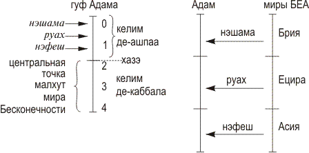 Адам Ришон относительно миров АБЕА - student2.ru