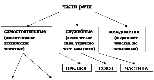 частные особенности употребления в речи - student2.ru