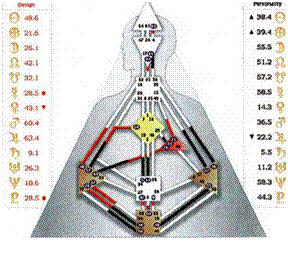 Что такое «Human Design» - «Дизайн Человека»? - student2.ru