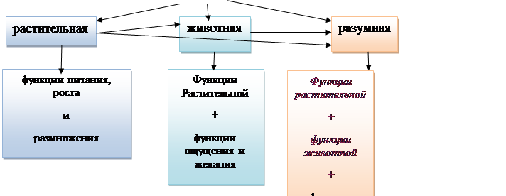 Ф-17. Греческая философия классического периода: Аристотель - student2.ru