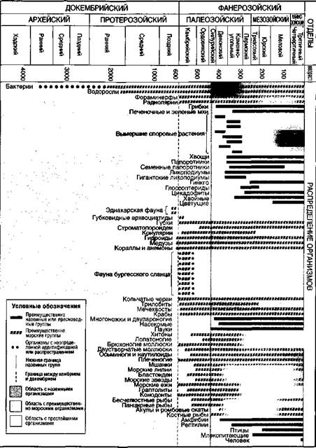 геологическая колонка и творение - student2.ru