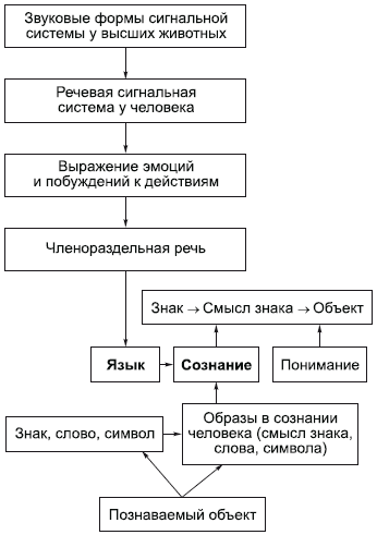 глава 3. философская антропология - student2.ru