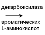 Глава 6. Эксперимент в Ла Чоррере - student2.ru