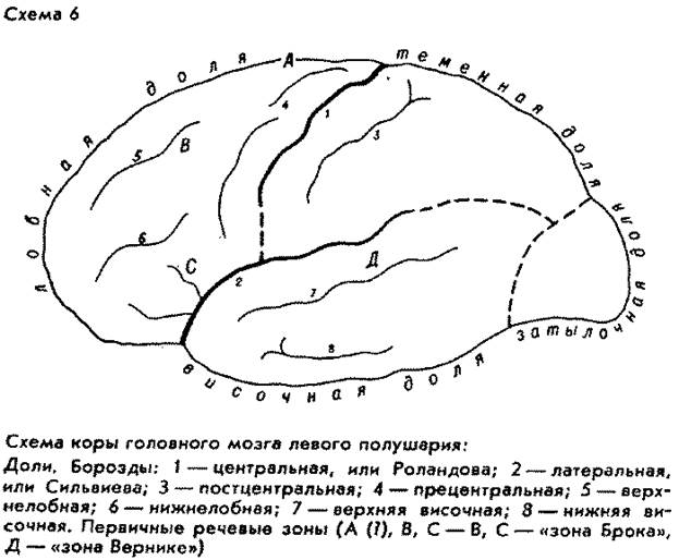 II. Начальное отношение и начальное общение людей - student2.ru