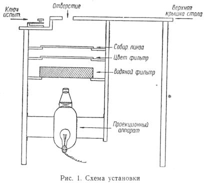 III Исследование функционального развития чувствительности - student2.ru