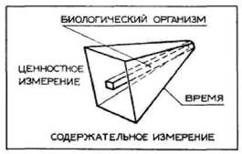 исследование идентичности в когнитивно ориентированной психологии - student2.ru