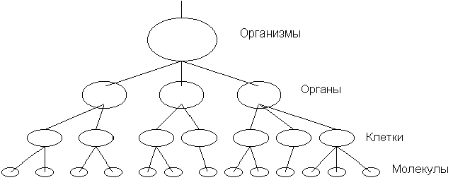 холархии - student2.ru