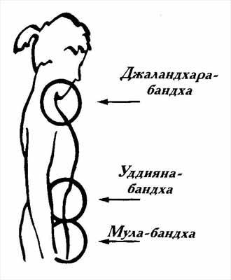 Концентрация внимания в пранаяме - student2.ru