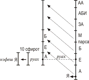 конструкция парцуфа адам ришон - student2.ru