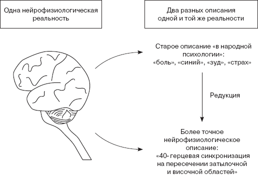 Монистические теории сознания - student2.ru