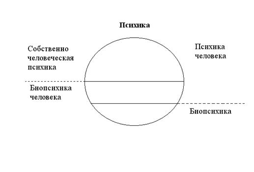 о сущности сознания - student2.ru