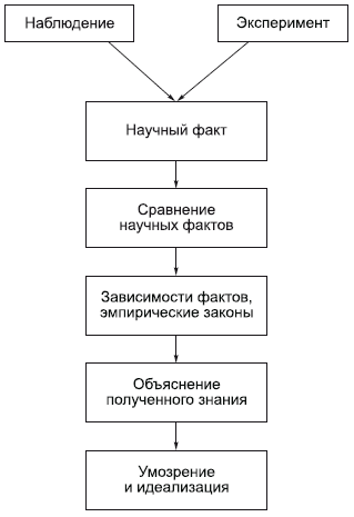 Объективные основания модельного эксперимента заключаются в существовании общих закономерностей организации и функционирования различных явлений. - student2.ru