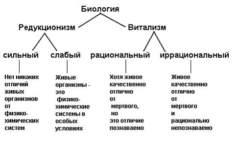 Общая характеристика и периодизация 11 страница - student2.ru