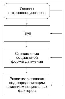 Основные концепции общественного развития. - student2.ru