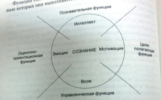 Сознание в структуре психики человека. - student2.ru