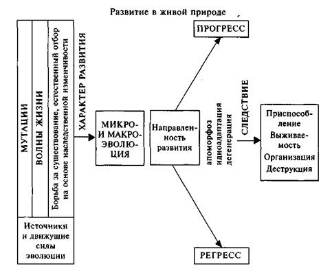 Принцип всеобщей связи и принцип развития в диалектическом и метафизическом измерениях - student2.ru