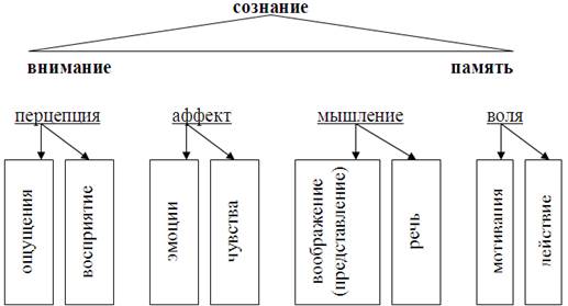 Проблема происхождения сознания. - student2.ru