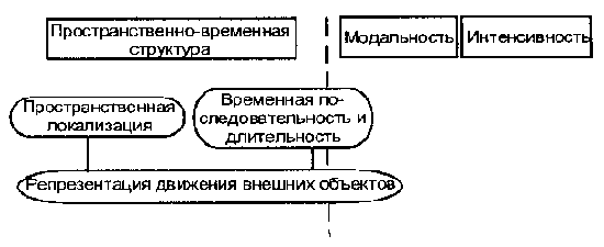 Схема 3. Пространственно-временная структура ощущения - student2.ru