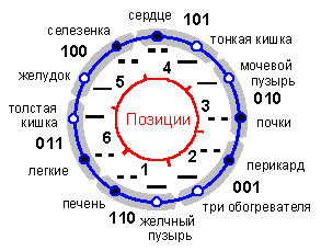 Схема меридиан и гексаграммы - student2.ru