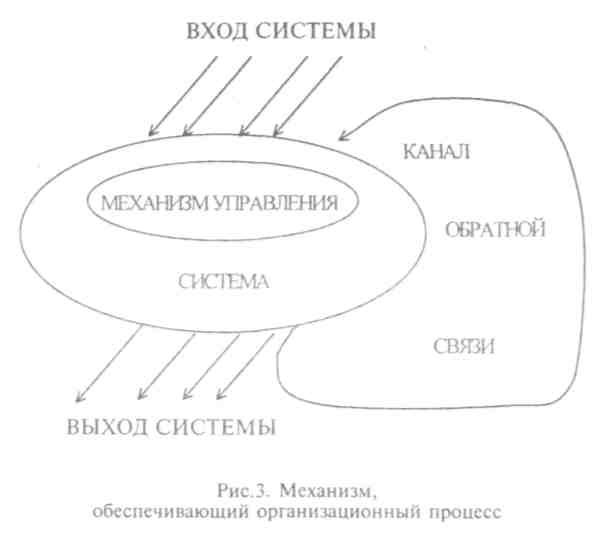 Структурные компоненты и свойства процесса самоорганизации - student2.ru