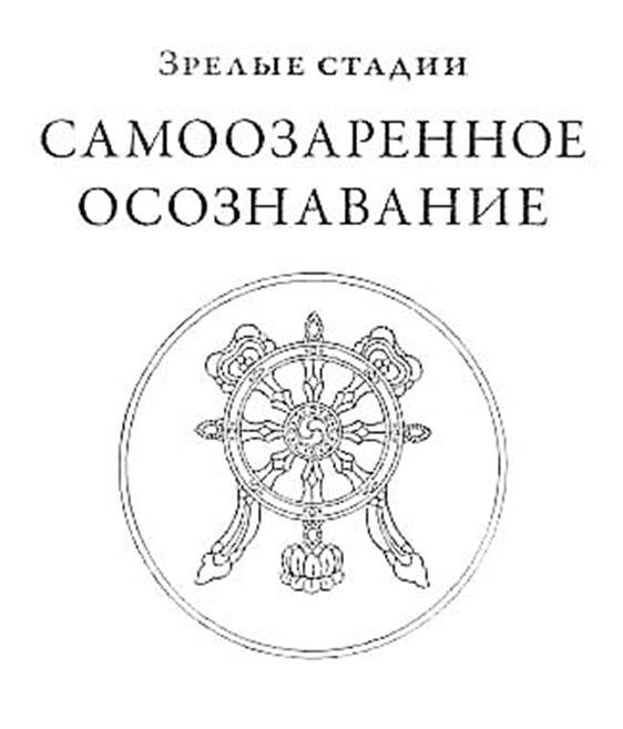 Установление ума в его естественном состоянии — наблюдение движений ума - student2.ru