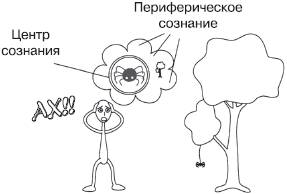 Внутренняя структура феноменального сознания: центр и периферия - student2.ru