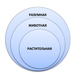 Воображение и представления - student2.ru