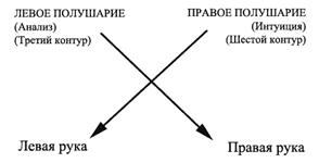 Времясвязывающий семантический контур - student2.ru