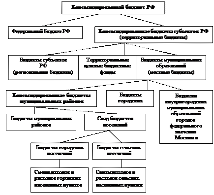 Бюджетные полномочия органов государственной власти и органов местного самоуправления - student2.ru