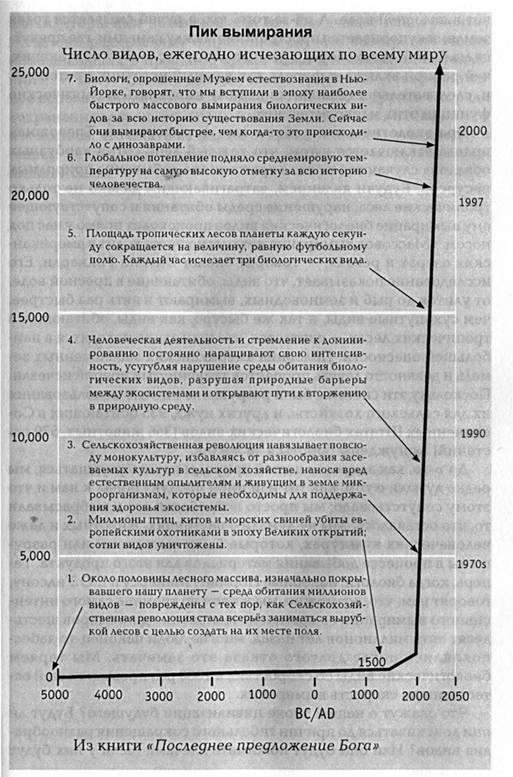 истинная стоимость вашего блестящего нового автомобиля - student2.ru