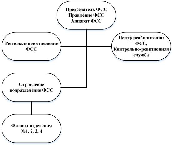 Характеристика организационной структуры объекта практики - student2.ru