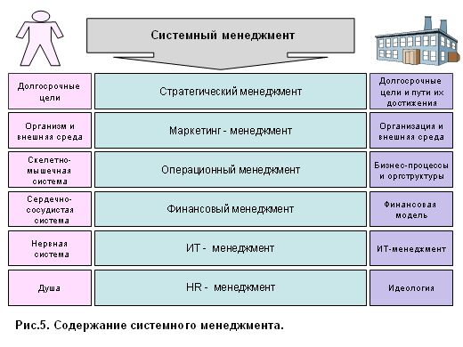 Концепция системного менеджмента - student2.ru