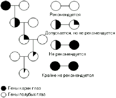 Немного больше расовой гигиены - student2.ru