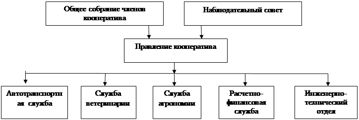 Организационно-правовая характеристика предприятия - student2.ru